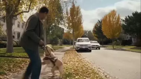 AI Video from prompt: A dog saves it's owner's life by sensing the dan