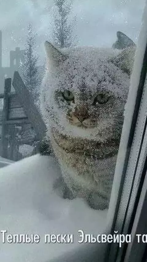 AI Video from prompt: The video should start from the dark, that is, a