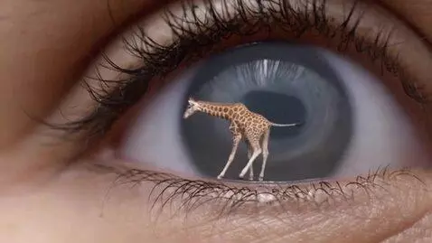 AI Video from prompt: there's a giraffe in the eye. in the background,