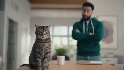 AI Video from prompt: Cat Talks Trash To Human In The House