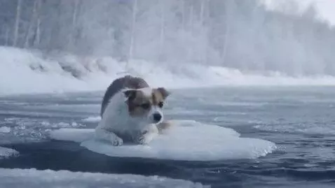 AI Video from prompt: A cinematic 60-second video. Scene 1 (0–10s): A 