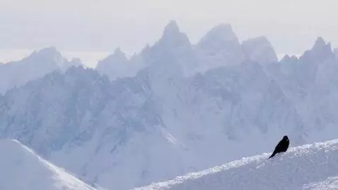 AI Video from prompt: Among twenty snowy mountains, The only moving th