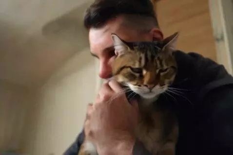 AI Video from prompt: Cat Scratches  Man's Face In His House