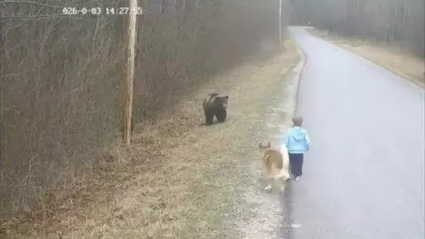 AI Video from prompt: Old CCTV-style daytime footage with low resoluti