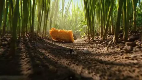 AI Video from prompt: A highly detailed, cinematic first-person POV vi