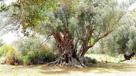 AI Video from prompt: Create an image with motion as if it’s being blo