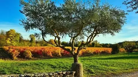 AI Video from prompt: Create an image with motion as if it’s being blo