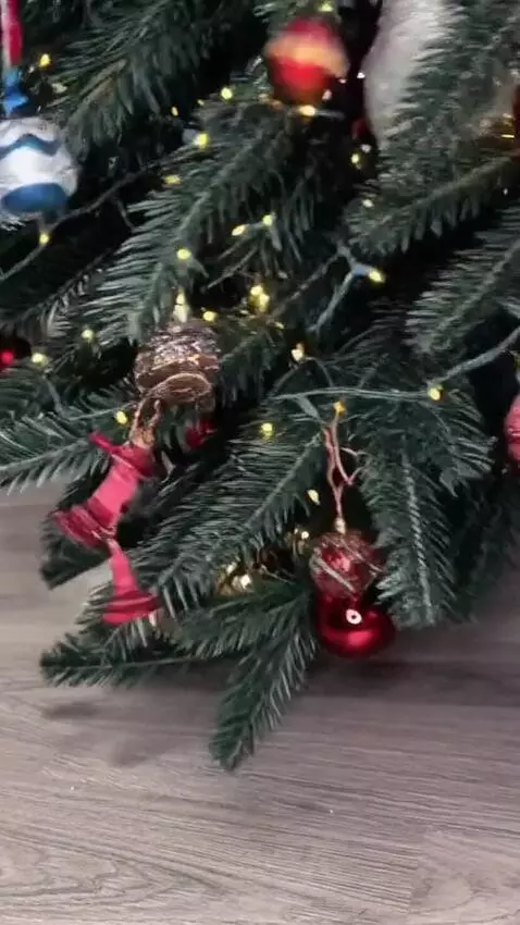 AI Video from prompt: a small dog from the input photo battles a Chris