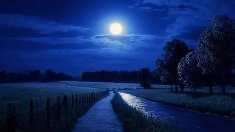 AI Video from prompt: A cinematic night-time countryside video under a