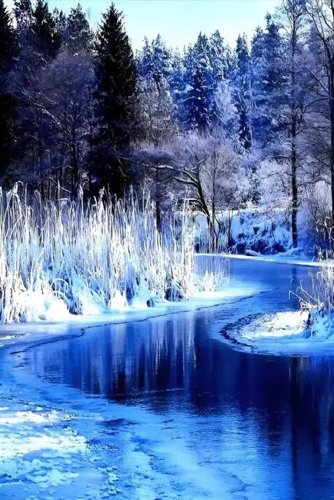 AI Video from prompt: The camera moves slowly over the water panorama