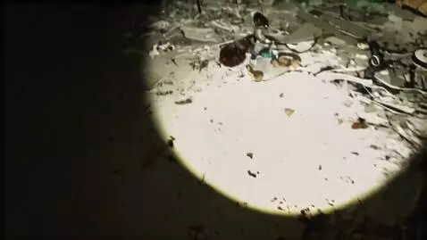 AI Video from prompt: Animate a still image into a cinematic POV-style