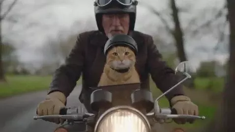 AI Video from prompt: a ginger cat rides with his grandfather on a mot