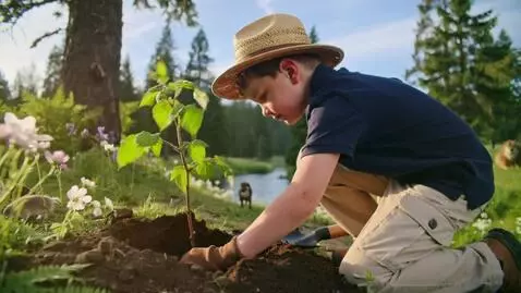 AI Video from prompt: Ecology is very important