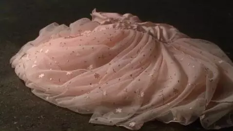 AI Video from prompt: The chiffon dress falls to the dirty floor, hits