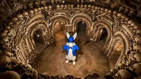 AI Video from prompt: Rabbit covers both ears with his hands. Camera r