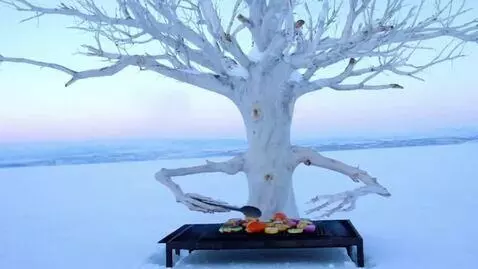 AI Video from prompt: Generate a video where a large white tree with n