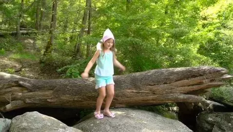 AI Video from prompt: "An elf girl in light summer clothing with rock