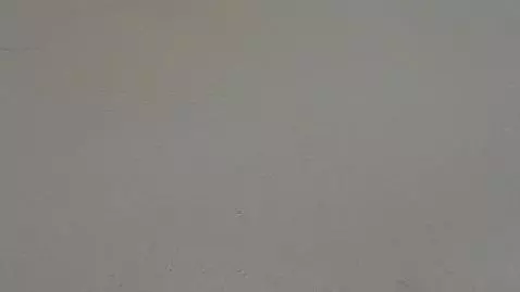 AI Video from prompt: sexy girls ass