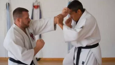 AI Video from prompt: A dynamic scene: daa karate masters engage in a 