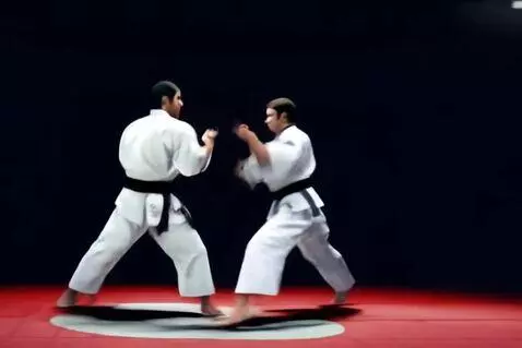 AI Video from prompt: A dynamic scene: daa karate masters engage in a 