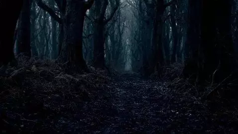 AI Video from prompt: Create horror video with dark forest, but withou
