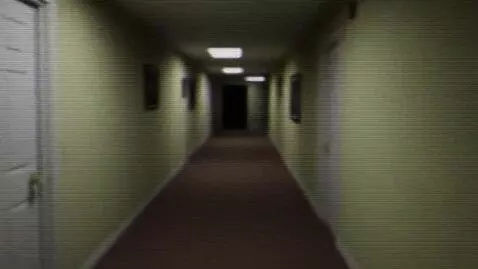 AI Video from prompt: Handheld VHS camcorder footage from 1994, a diml