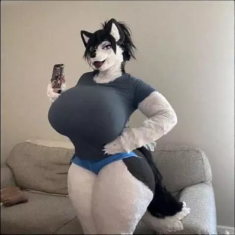 Kandinsky 5 Pro video