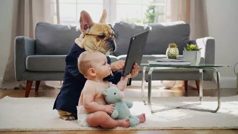 AI Video from prompt: A funny situation. A French bulldog in a busines