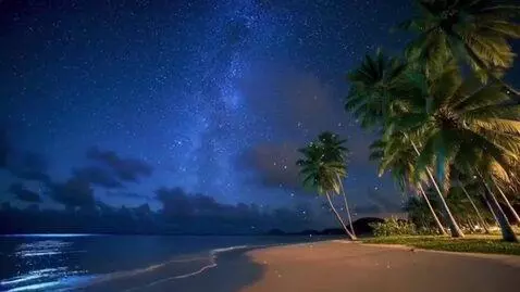 AI Video from prompt: Stardust on the Palms