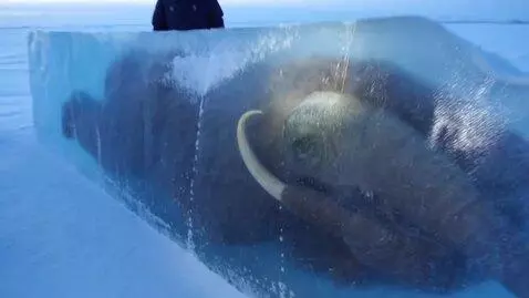 AI Video from prompt: Bright overcast Arctic daytime with soft natural