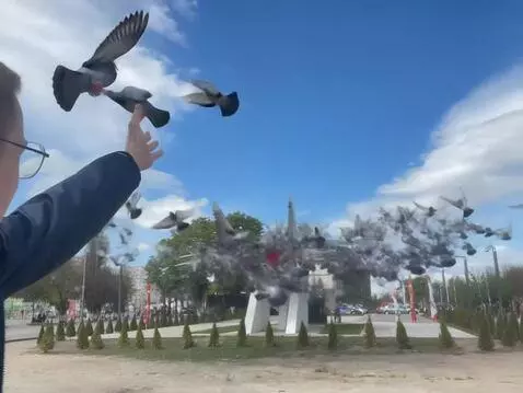 AI Video from prompt: A man boards a plane and flies away into the sky