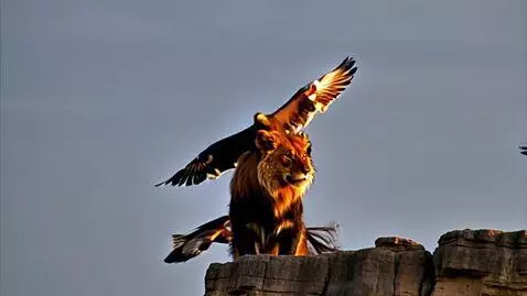 AI Video from prompt: A majestic lion stands on the edge of a high roc