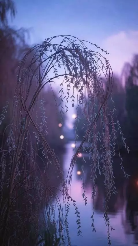 AI Video from prompt: Fireflies buzz around and the water gently moves