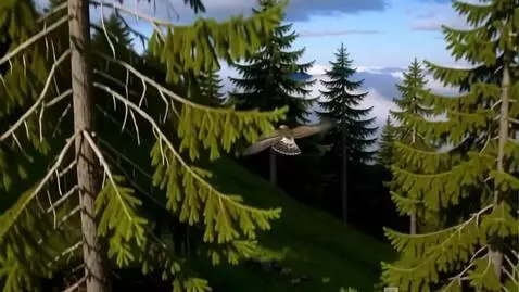 AI Video from prompt: The falcon flies away. we descend to the ground 