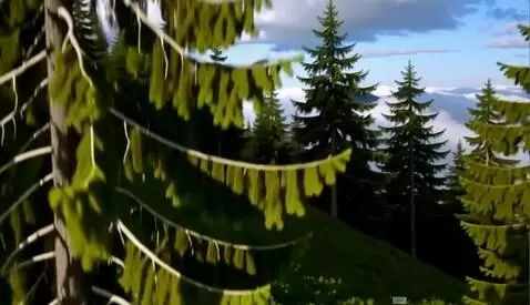 AI Video from prompt: The falcon flies away to the left side. we desce