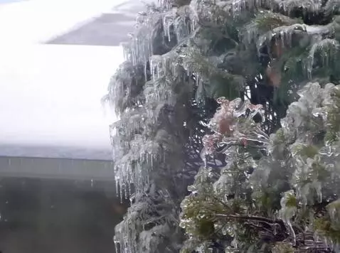 AI Video from prompt: move a view to the left of picture and show a no