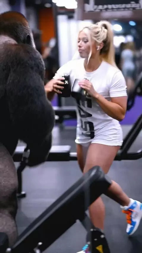 AI Video from prompt: A female boxer spars with a gorilla and hits her