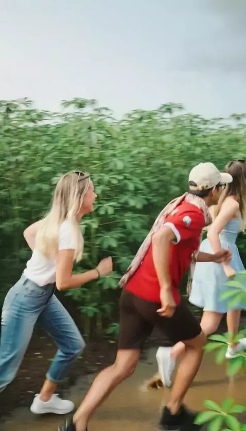 Kling 2.5 Turbo (pro) video