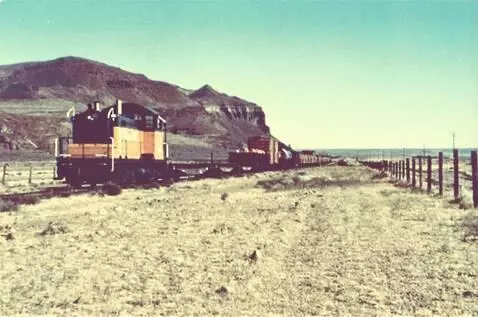 AI Video from prompt: A diesel locomotive with a local freight at low 