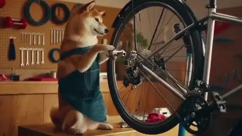 AI Video from prompt: shiba inu bicycle repair