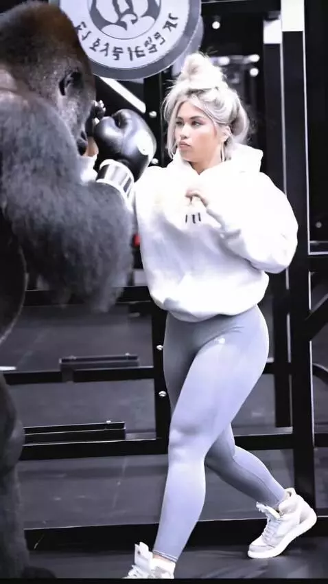 AI Video from prompt: female boxer spars with a gorilla in the ring