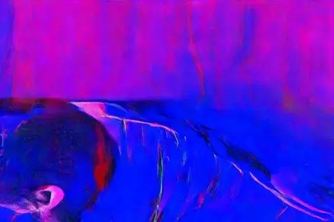 CogVideoX-5B video