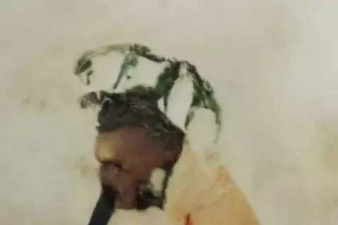 AI Video from prompt: Yo we the best. Besh u the besh brro