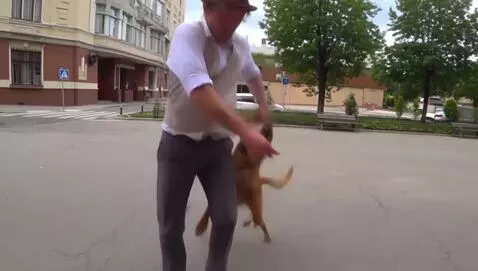 AI Video from prompt: Man dancing with dog