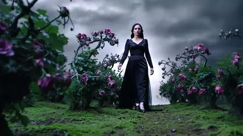 AI Video from prompt: A mysterious woman in a dark garden filled with 
