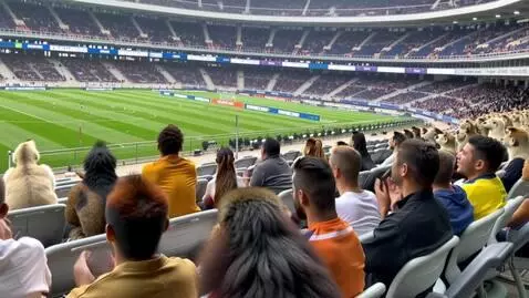 AI Video from prompt: Animals playing World Cup . Brazil vs Argentina