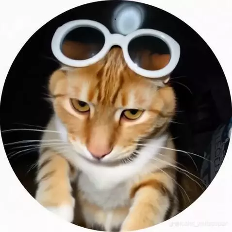 AI Video from prompt: cat stands up and starts dancing