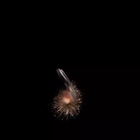 AI Video from prompt: It jumps into the air in the form of a coin and 