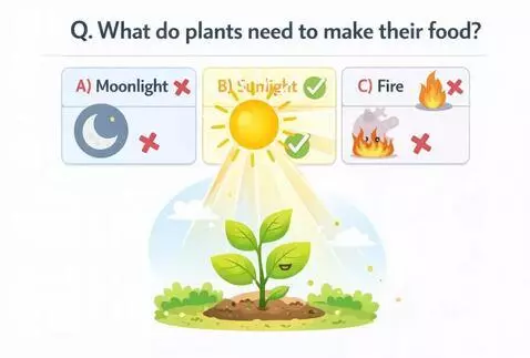 AI Video from prompt: Make sun and sunlight in motion