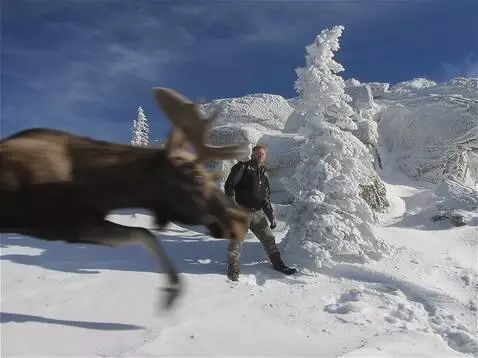 Wan 2.5 Preview video